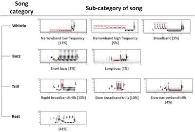 Unravelling the Stability of Nightingale Song Over Time and Space Using Open, Citizen Science and Shared Data